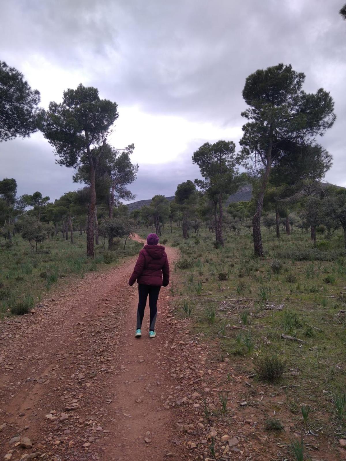 Casa Rural Vega Alta Madridejos Dış mekan fotoğraf